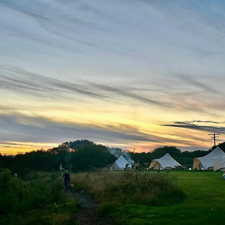 Lakeside Glamping Firecrest St Columb Major Buitenkant foto