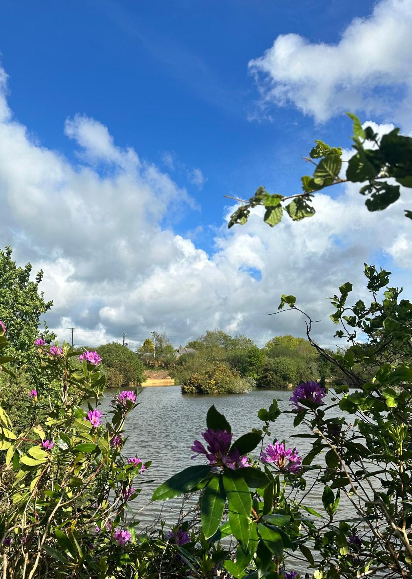 Lakeside Glamping Firecrest St Columb Major Buitenkant foto