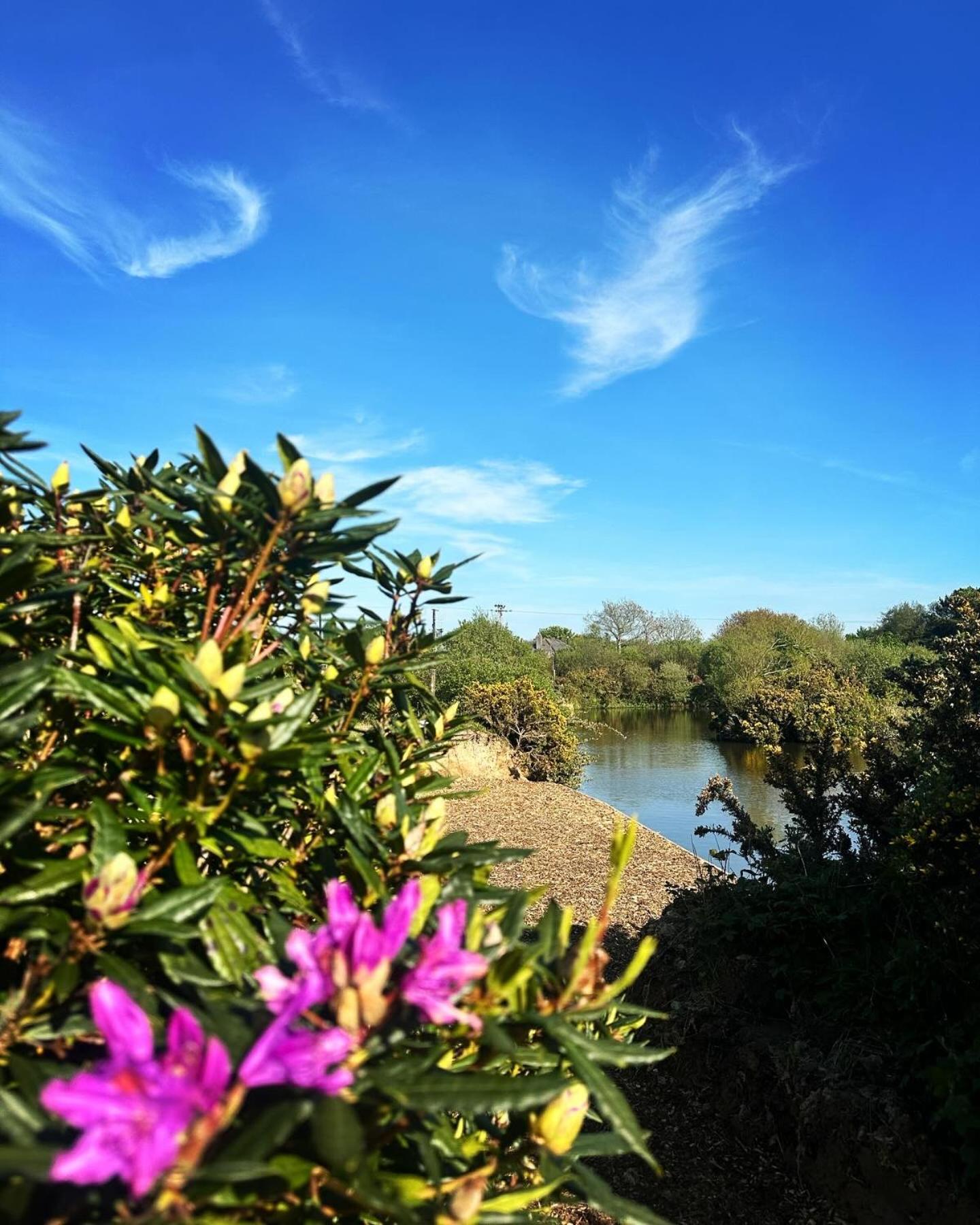 Lakeside Glamping Firecrest St Columb Major Buitenkant foto
