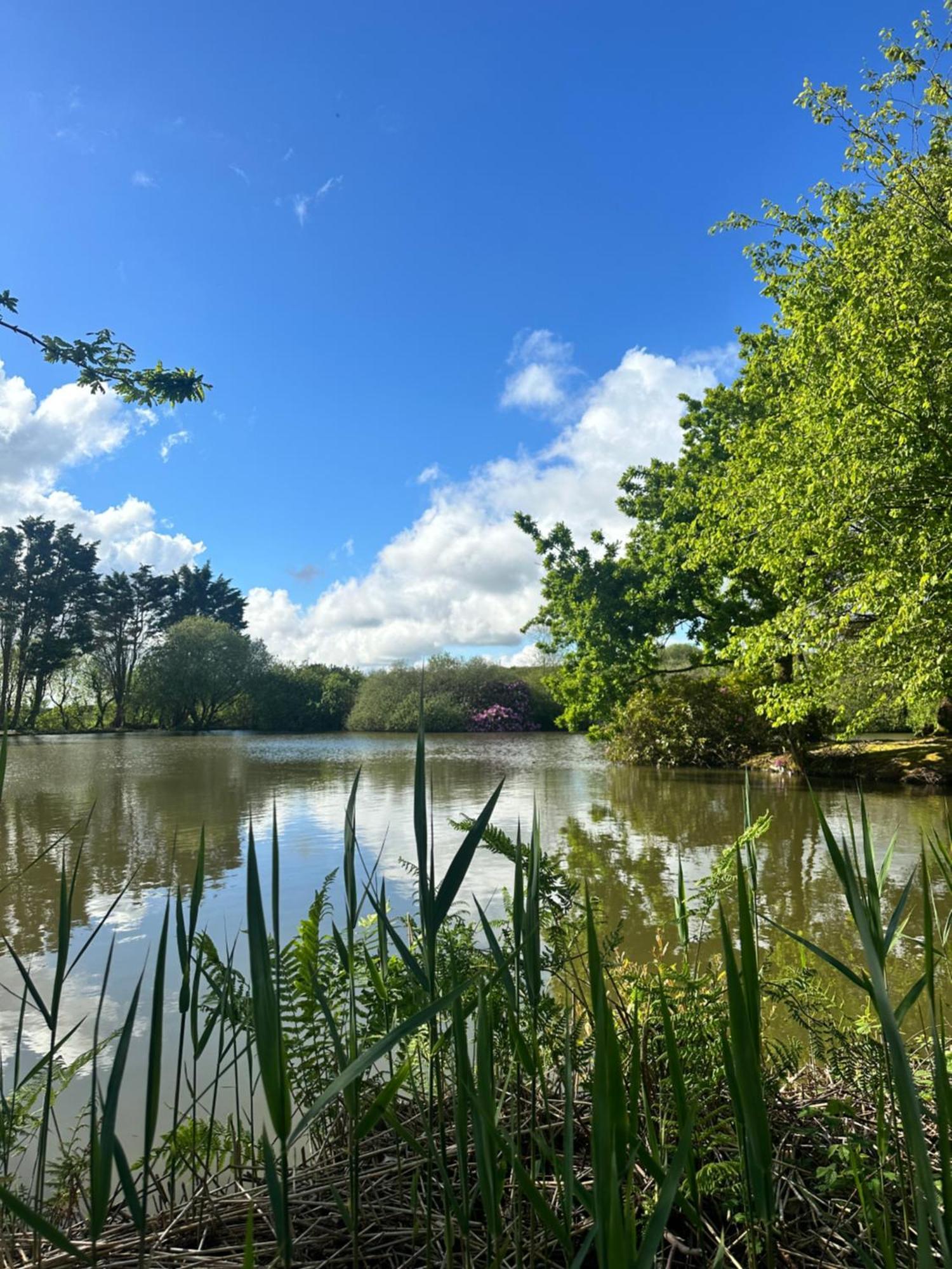 Lakeside Glamping Firecrest St Columb Major Buitenkant foto