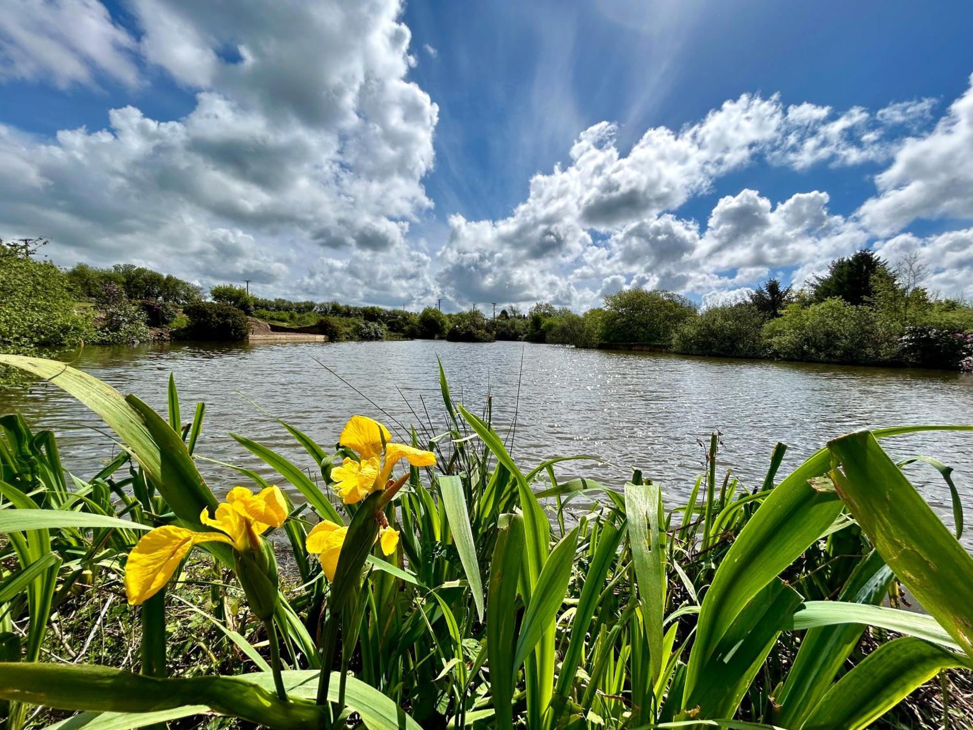 Lakeside Glamping Firecrest St Columb Major Buitenkant foto